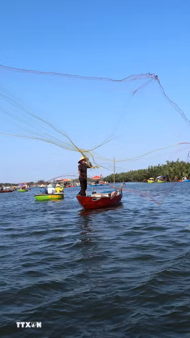 Người dân địa phương tái hiện cảnh quăng chài đánh cá để phục vụ du khách ở làng dừa Cẩm Thanh. (Ảnh: Đỗ Trưởng/TTXVN)