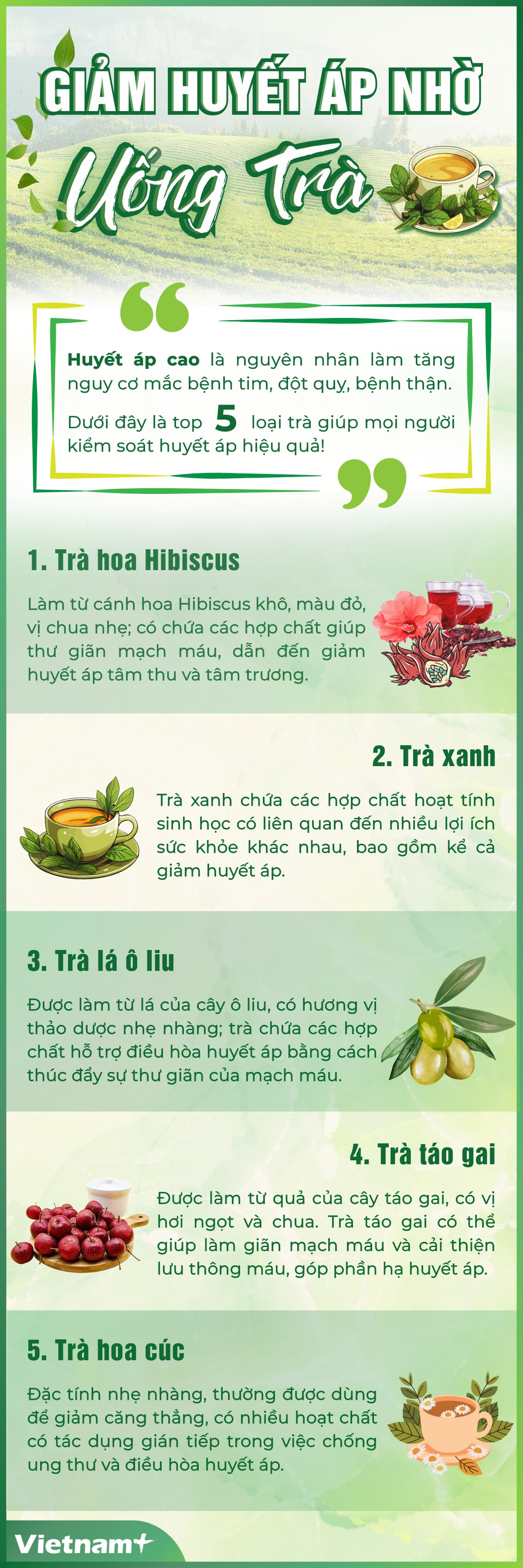 giam-huyet-ap-nho-uong-tra.png