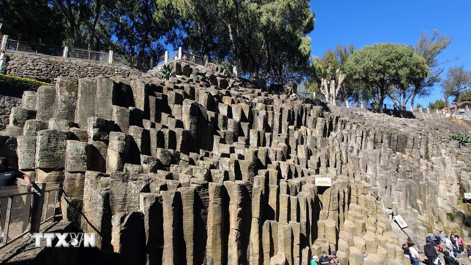 Những cột đá bazan ngũ giác và lục giác dựng đứng bên hẻm núi Barranca de Alcholoya, phản ánh rõ nét quá trình nguội và nứt của dung nham núi lửa khi gặp dòng nước lạnh cách đây hàng triệu năm. (Ảnh: Phi Hùng/TTXVN)
