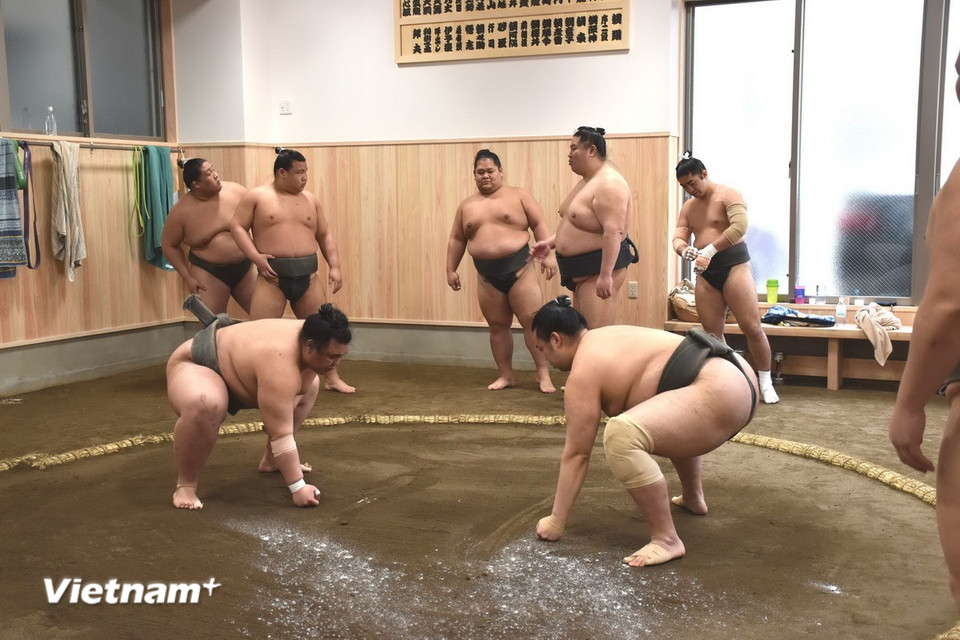 Để trở thành một võ sỹ Sumo thì võ sỹ phải tham gia vào một trong số hàng chục lò luyện Sumo. Các võ đường Sumo đó đảm bảo chăm lo mọi thứ cho võ sỹ từ thức ăn, quần áo đến nhà cửa và tập luyện cho võ sỹ đó trở thành một tay vật Sumo giỏi. Các võ sỹ Sumo phải tập luyện hàng ngày tại các võ đường. Tập luyện, ăn và ngủ, đó là những hoạt động lặp lại đều đặn hàng ngày của các võ sỹ tại các võ đường Sumo. (Ảnh: Nguyễn Tuyến- Phạm Tuân-Xuân Giao/Vietnam+)