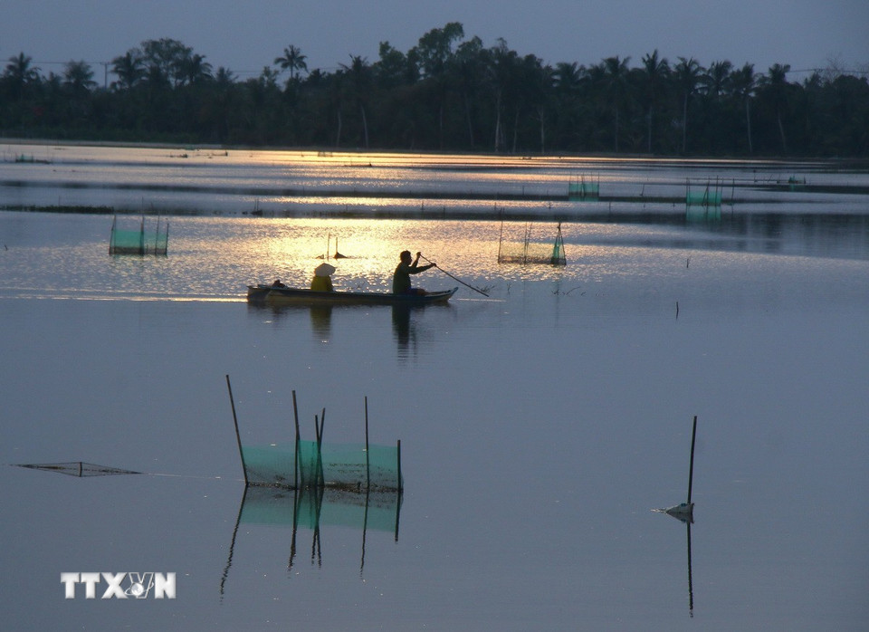 Thu hoạch cá ruộng đợt cuối tại xã Vị Thanh 1, thành phố Cần Thơ. (Ảnh: Duy Khương/TTXVN)