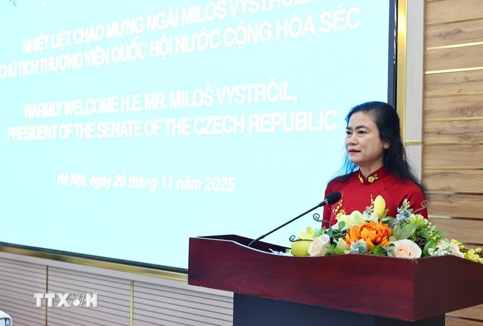 Chủ tịch Hội Chữ thập Đỏ Việt Nam Đỗ Thị Thu Thảo phát biểu. (Ảnh: Minh Đức/TTXVN)