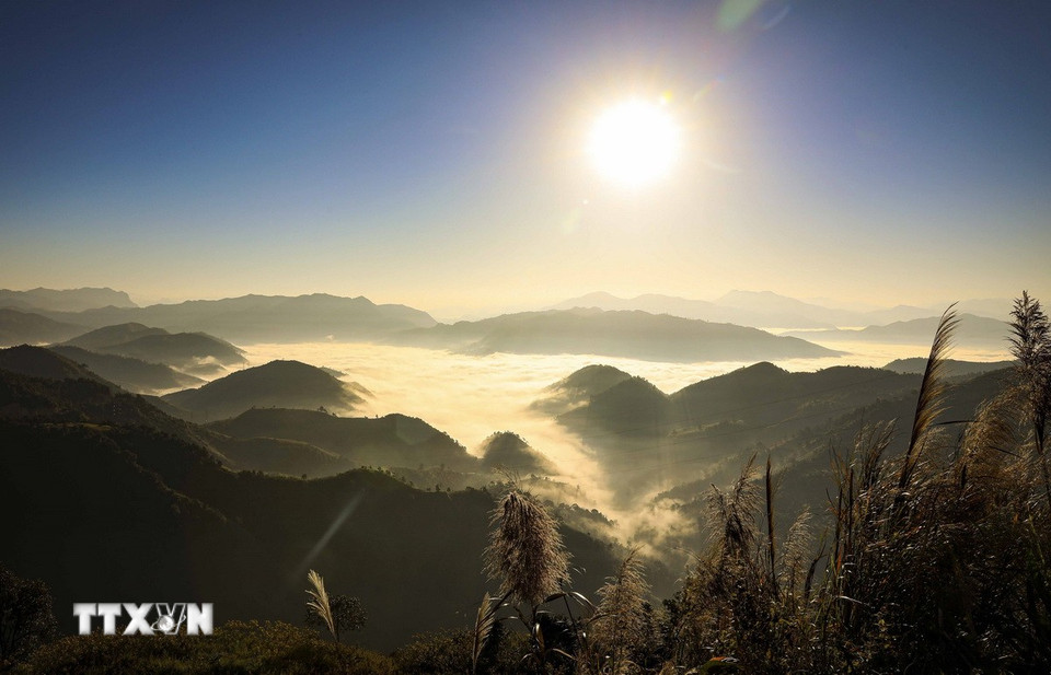 Elke vroege ochtend ontwaakt de Keo Lom-pas in de gemeente Na Son (provincie Dien Bien) te midden van een zee van witte wolken in de vallei. In het gouden ochtendlicht verschijnen de bergketens één voor één, wat een majestueus en poëtisch natuurbeeld creëert. Die ongerepte schoonheid maakt Keo Lom tot een aantrekkelijke bestemming voor toeristen en liefhebbers van het landschap van de bergen en bossen in het noordwesten. (Foto: Xuan Tu/VNA)