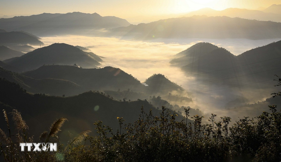 De zon schijnt door de zee van wolken en creëert magische lichtstralen. (Foto: Xuan Tu/VNA)
