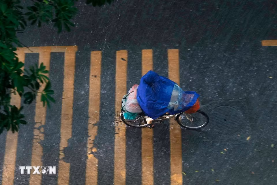 Cơn mưa lớn bất ngờ chiều 30/6. (Ảnh: Minh Quyết/TTXVN)
