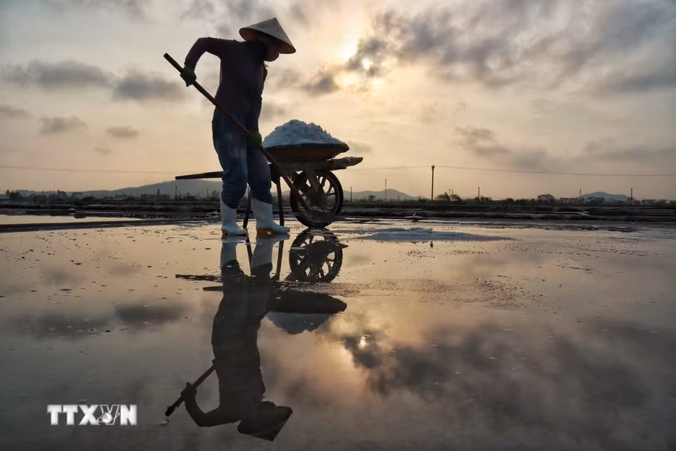 Dưới cái nắng và gió khắc nghiệt, những diêm dân vẫn ngày ngày cần mẫn giữ nghề. (Ảnh: Phương Anh/TTXVN phát)
