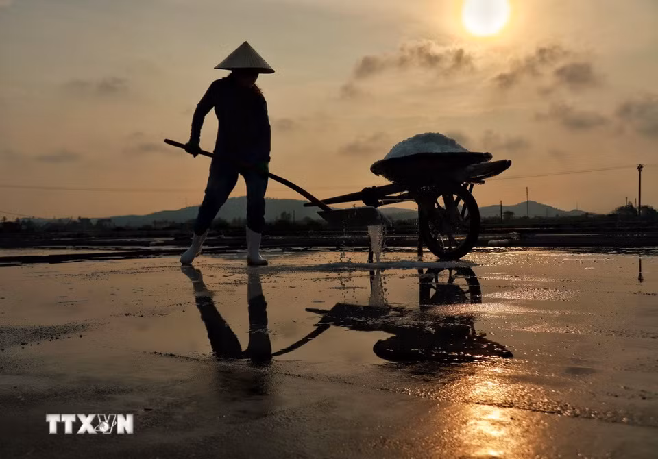 Trải qua bao thăng trầm, làng muối Tân Mai (thị xã Hoàng Mai, tỉnh Nghệ An) vẫn bền bỉ tồn tại như một “ký ức mặn” của vùng biển Bắc Trung Bộ. (Ảnh: Phương Anh/TTXVN phát)