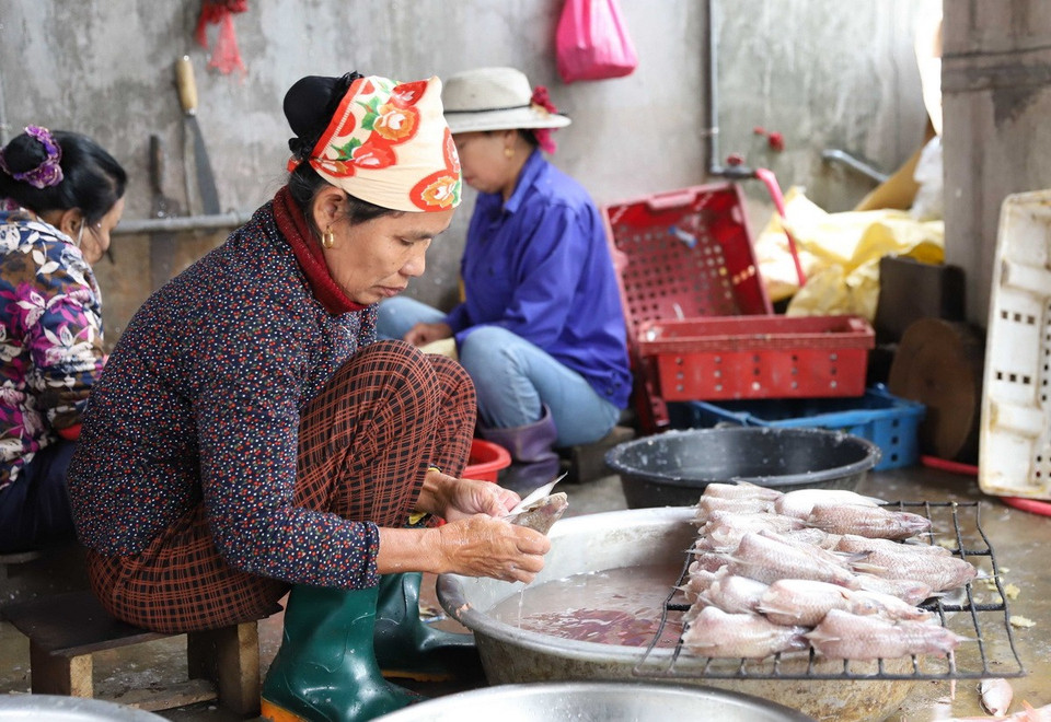 Nghề nướng cá biển bằng than hoa ở xã Ngọc Bích (huyện Diễn Châu, Nghệ An) đã tồn tại gần 100 năm. Sở hữu gần 470 tàu, thuyền chuyên khai thác các loại hải sản, xã Ngọc Bích có số lượng phương tiện tàu, thuyền khai thác hải sản lớn nhất huyện Diễn Châu. Địa phương này cũng có số lượng lò nướng cá biển truyền thống lớn nhất huyện, với hơn 210 hộ, mỗi hộ có từ 2 đến 4 lò nướng. (Ảnh: Xuân Tiến/TTXVN)