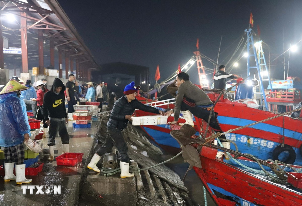 Hối hả vận chuyển các khay đựng hải sản từ tàu, thuyền lên bờ. (Ảnh: Xuân Tiến/TTXVN)