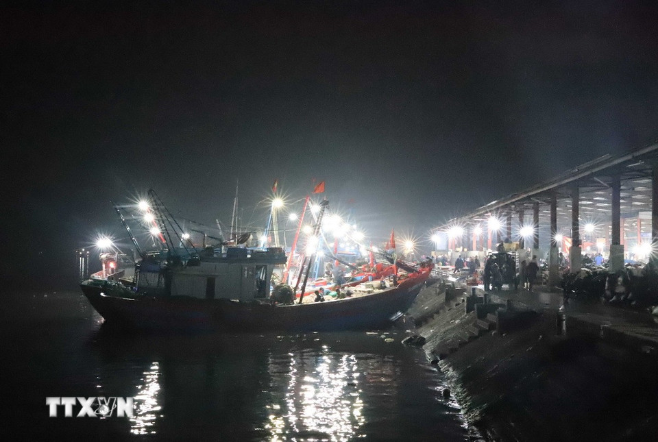 Khung cảnh nhộn nhịp tại chợ Lạch Vạn và cảng cá Lạch Vạn vào thời điểm gần sáng. (Ảnh: Xuân Tiến/TTXVN)