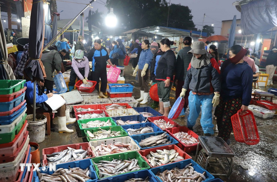 Tiểu thương và người dân đi chợ sớm mua hải sản để sử dụng hoặc phân phối, tiêu thụ tại các chợ đầu mối, chợ dân sinh trên địa bàn. (Ảnh: Xuân Tiến/TTXVN)