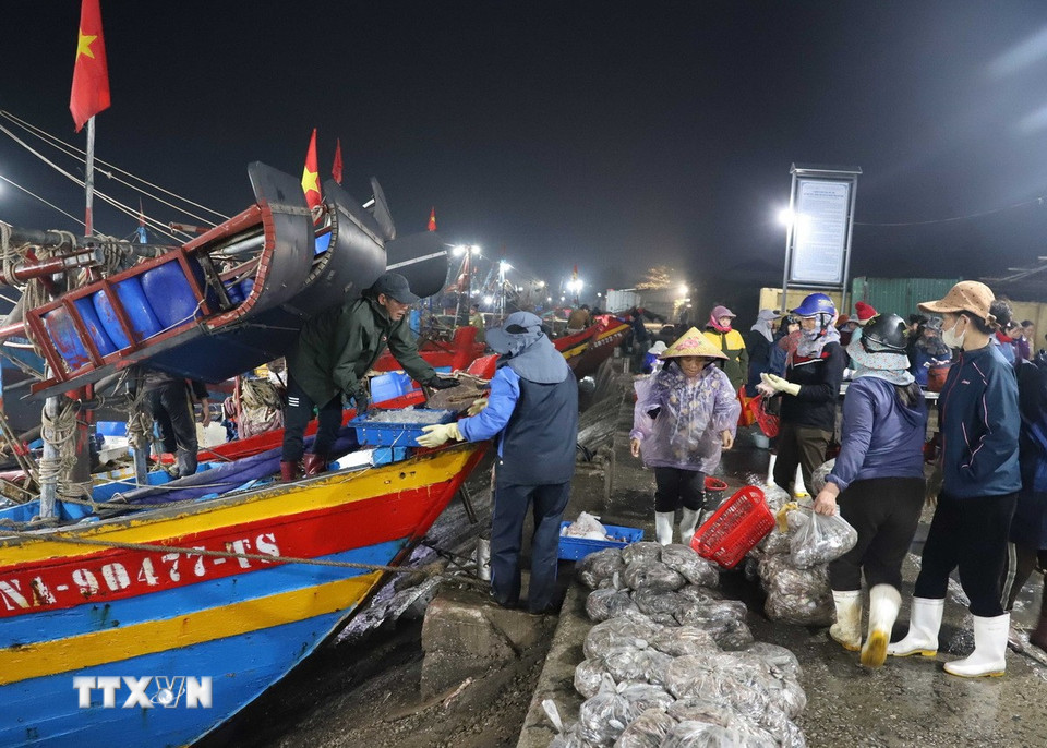 Cảng cá Lạch Vạn và không gian chợ cá nhanh chóng sôi nổi khi có nhiều tàu, thuyền cập bến và các hoạt động vận chuyển, bán buôn diễn ra tất bật. (Ảnh: Xuân Tiến/TTXVN)