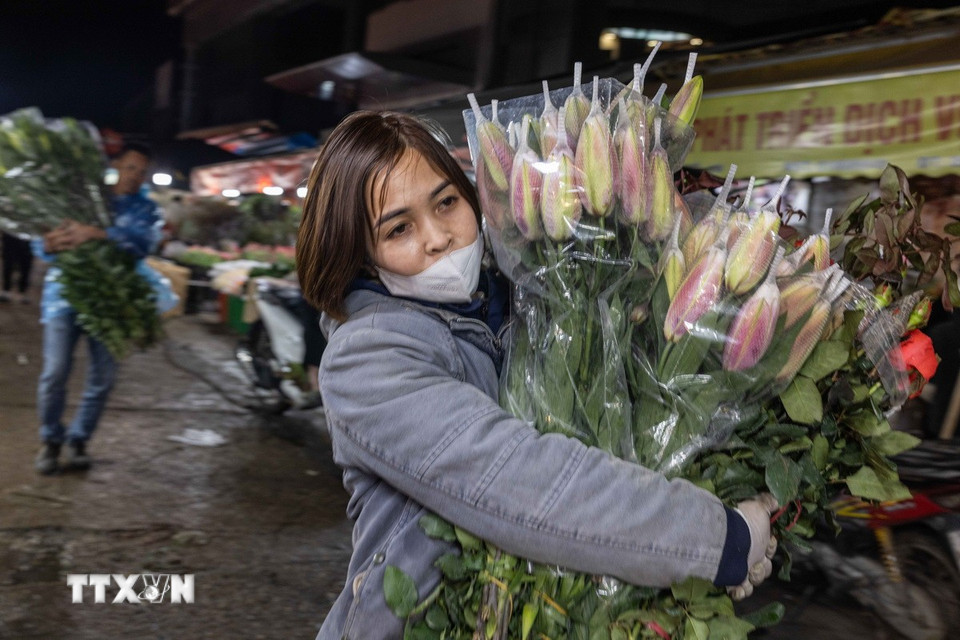 Hoa ly được mua bán nhiều tại chợ hoa Quảng Bá. (Ảnh: Hoàng Hiếu/TTXVN)