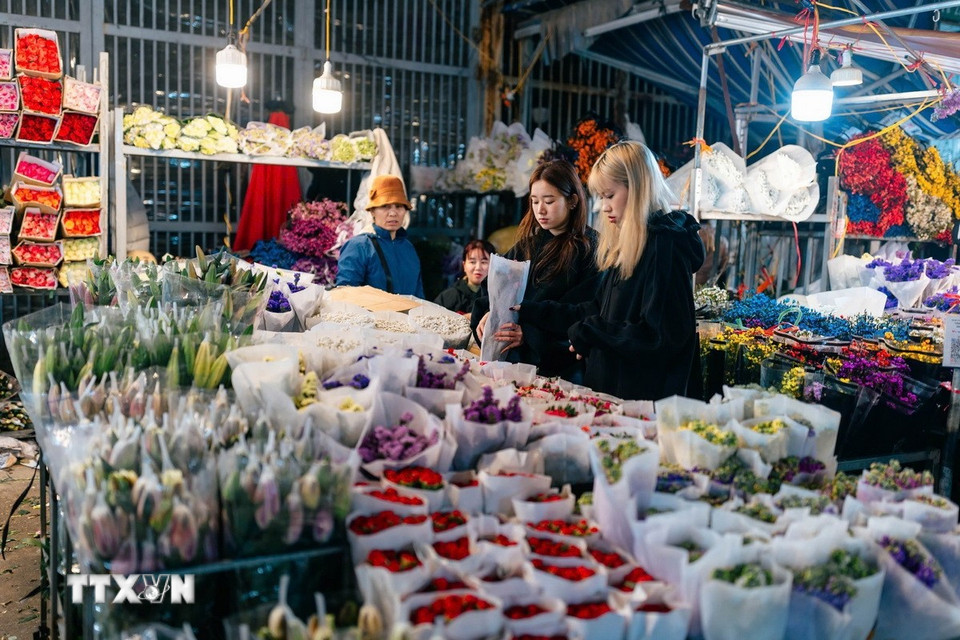 Các loài hoa đua sắc hương tại chợ hoa Quảng Bá. (Ảnh: Phạm Tuấn Anh/TTXVN)