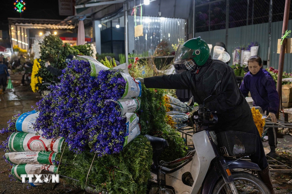 Một xe hoa được chuyển đến chợ hoa Quảng Bá phục vụ nhu cầu khách mua chơi dịp Tết. (Ảnh: Hoàng Hiếu/TTXVN)