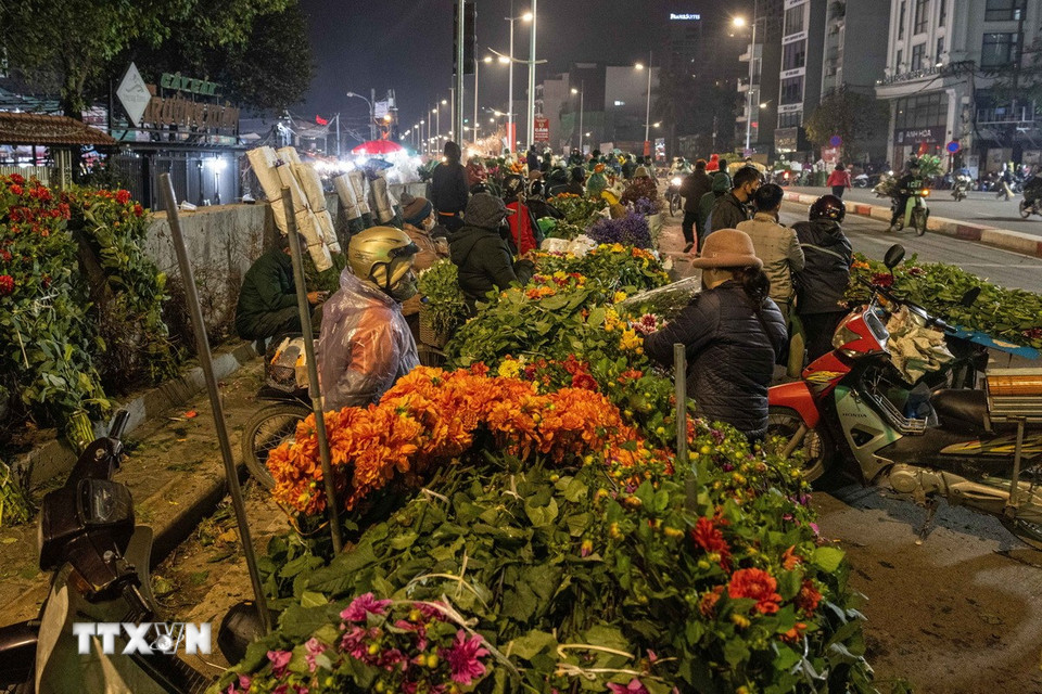 Càng gần Tết nguyên đán, nhiều loài hoa được các tiểu thương nhập về phục vụ nhu cầu tăng cao của người dân. (Ảnh: Hoàng Hiếu/TTXVN)