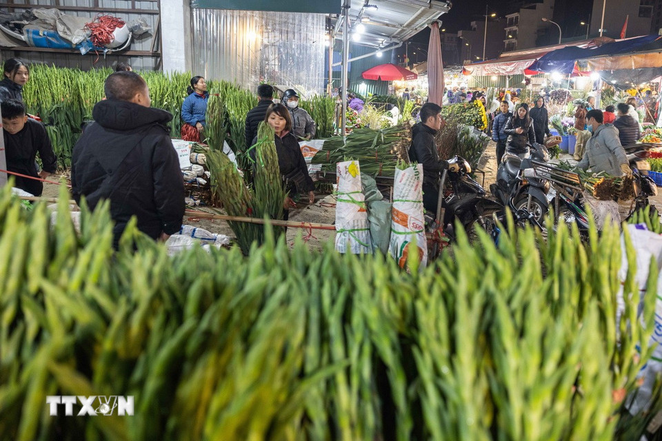 Chợ hoa Quảng Bá sôi động về đêm. (Ảnh: Hoàng Hiếu/TTXVN)