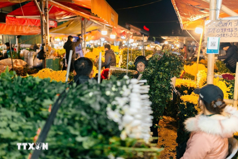 Nhiều người đi chợ hoa đêm Quảng Bá để có thể chọn cho mình những loài hoa ưng ý, giá cả hợp lý. (Ảnh: Hoàng Hiếu/TTXVN)