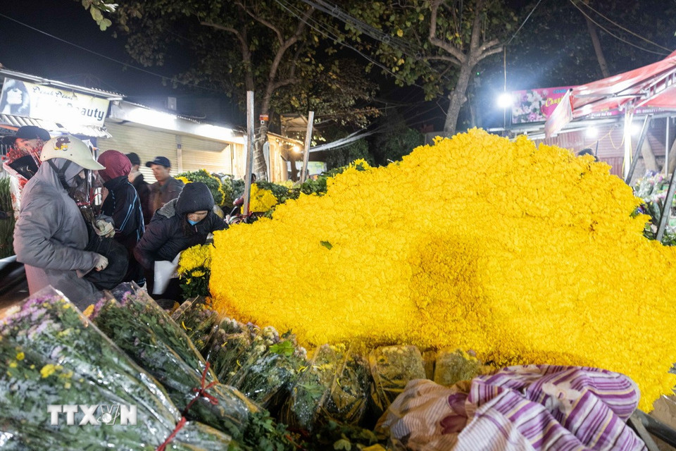 Vàng rực một góc cúc vàng tại chợ hoa Quảng Bá. (Ảnh: Hoàng Hiếu/TTXVN)