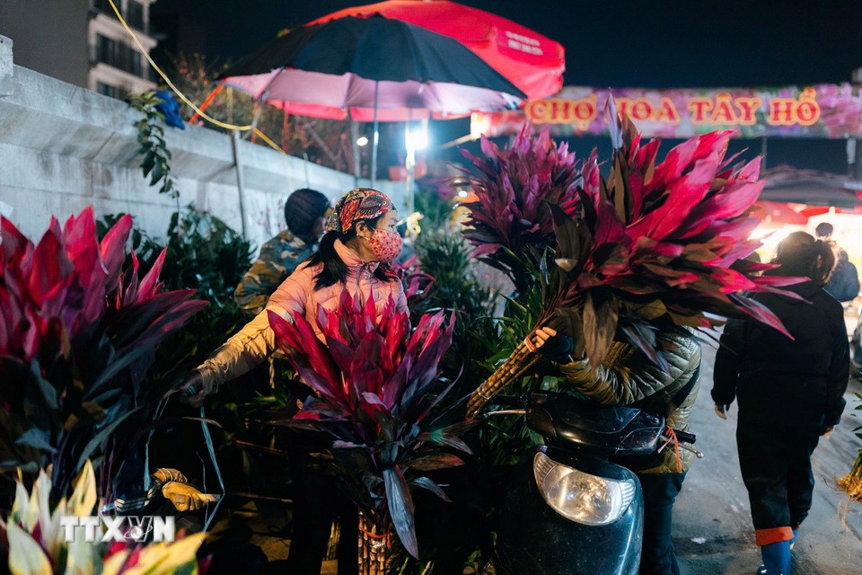 Các loài cây, hoa với màu sắc rực rỡ tại chợ hoa Quảng Bá (Tây Hồ). (Ảnh: Phạm Tuấn Anh/TTXVN)