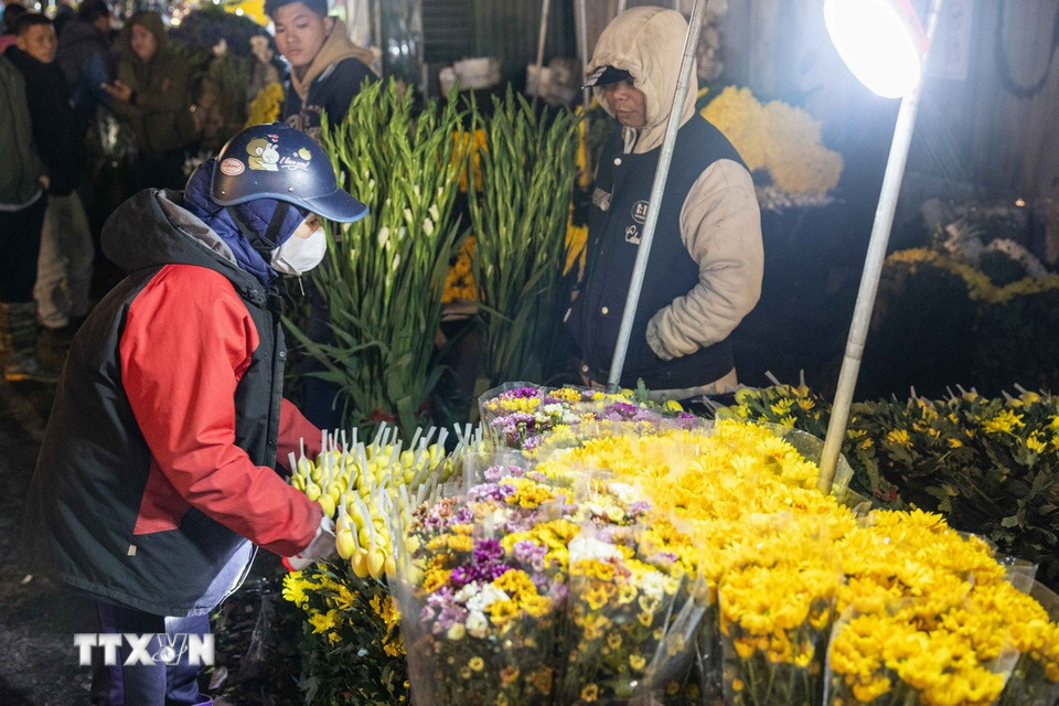 Các loài hoa khoe sắc tại chợ hoa Quảng Bá. (Ảnh: Hoàng Hiếu/TTXVN)