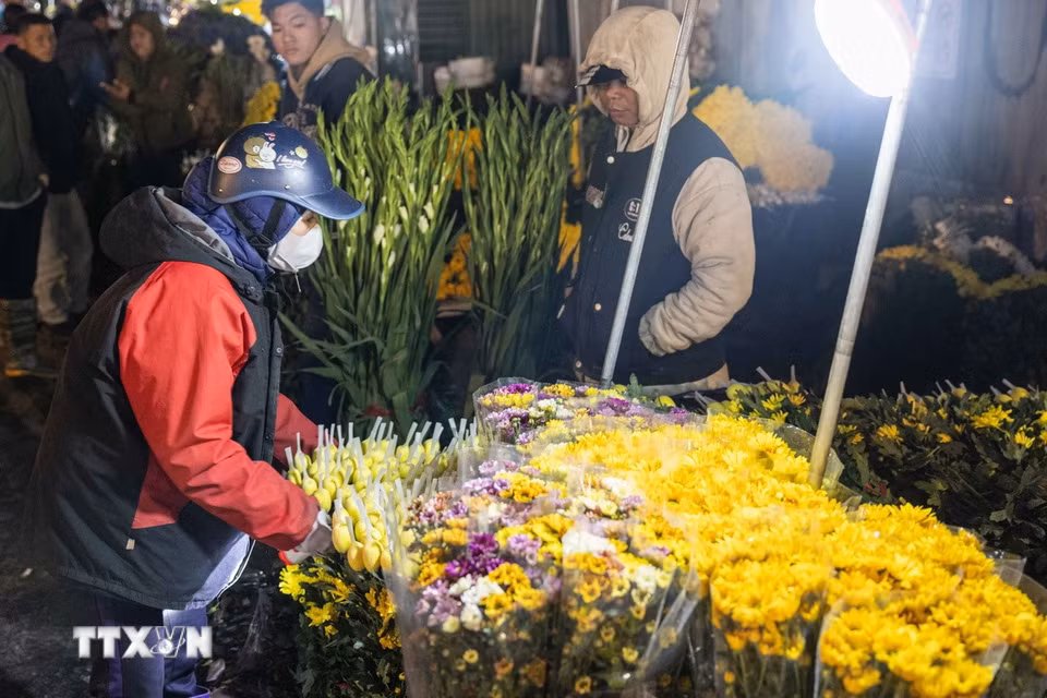 Các loài hoa khoe sắc tại chợ hoa Quảng Bá. (Ảnh: Hoàng Hiếu/TTXVN)