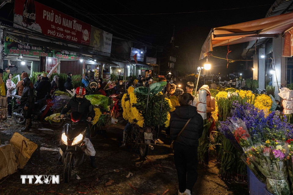 Nhiều tiểu thương đến với chợ hoa Quảng Bá để bán buôn, bán lẻ các loài hoa đẹp dịp Tết. (Ảnh: Hoàng Hiếu/TTXVN)