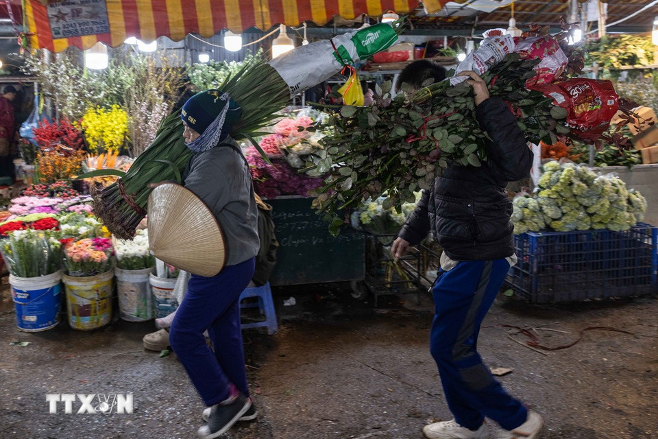 Khung cảnh dễ dàng bắt gặp tại chợ hoa đêm Quảng Bá. (Ảnh: Hoàng Hiếu/TTXVN)