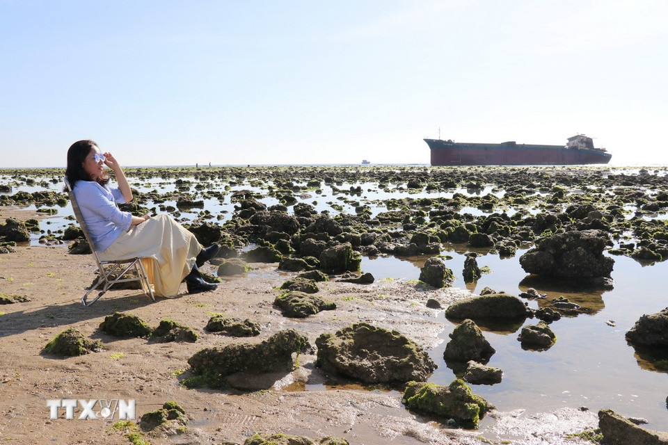 Du khách thỏa sức sáng tạo và lưu lại những bức ảnh độc đáo trên cánh đồng rong biển. (Ảnh: Nguyễn Thành/TTXVN)