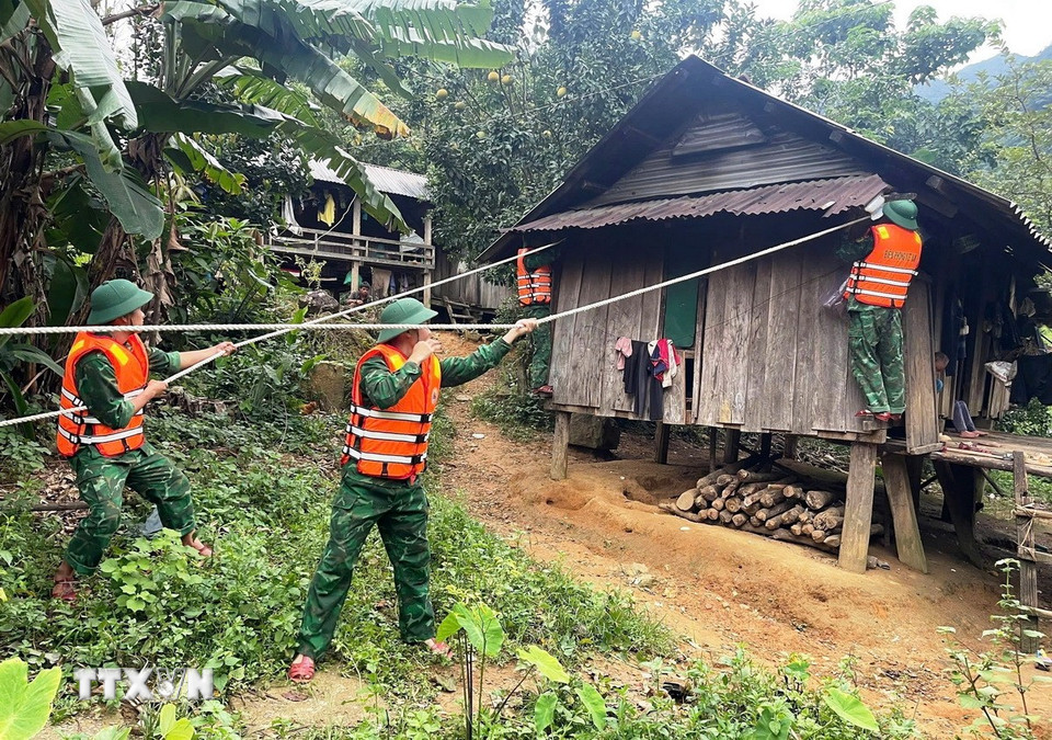 Cán bộ, chiến sỹ Bộ đội Biên phòng tỉnh Quảng Trị hỗ trợ nhân dân chằng chống, gia cố nhà cửa, tài sản đảm bảo an toàn trước cơn bão số 5. (Nguồn: TTXVN phát)