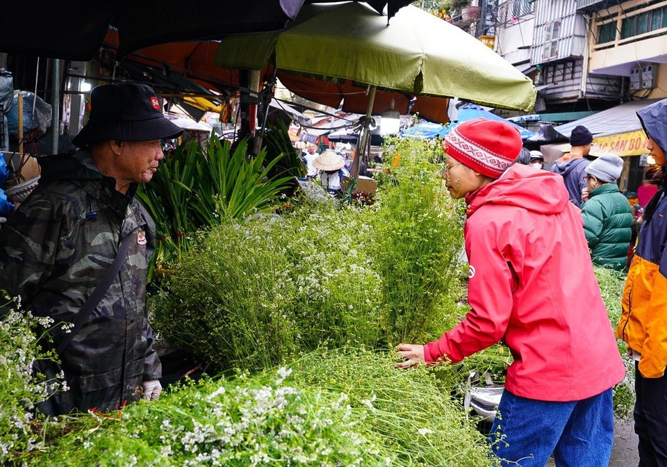 Tranh thủ hít hà hương thơm của mùi già trước khi mua về tắm tất niên theo phong tục. (Ảnh: Khánh Hòa/TTXVN)