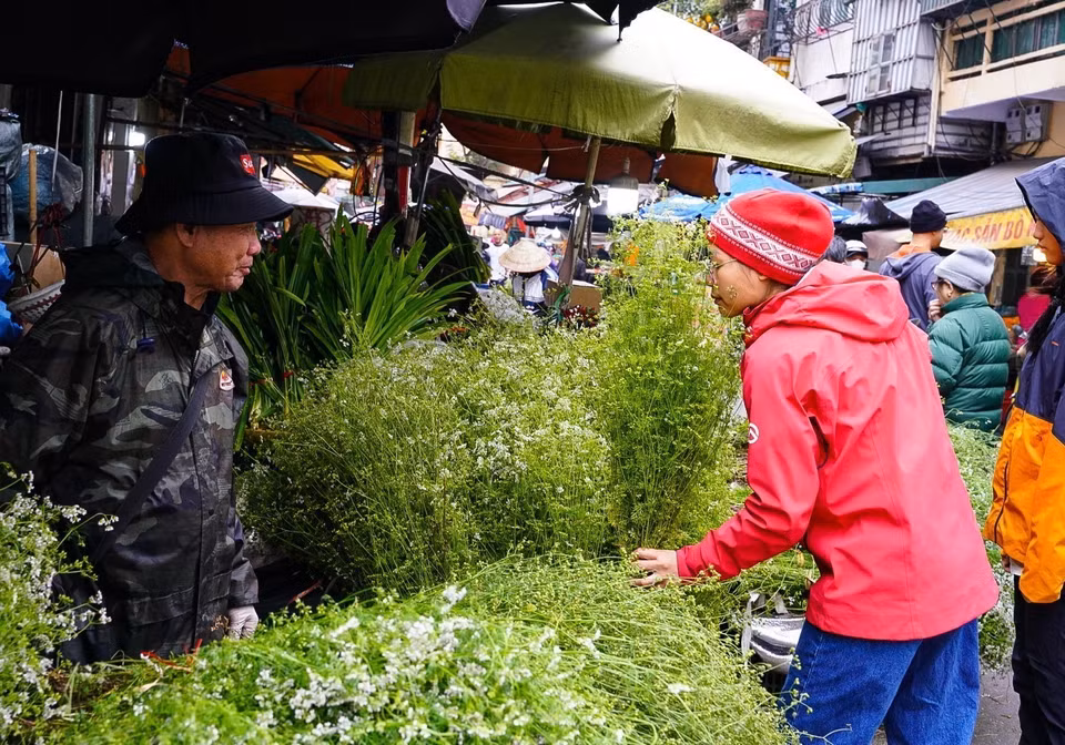 Tranh thủ hít hà hương thơm của mùi già trước khi mua về tắm tất niên theo phong tục. (Ảnh: Khánh Hòa/TTXVN)