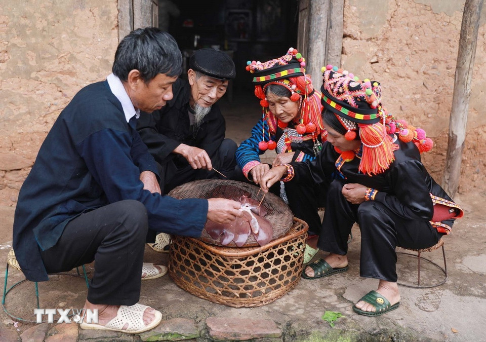 ទំនៀមទម្លាប់មើលថ្លើមជ្រូកគឺត្រូវដឹងពីសុខភាពគ្រួសារ និងរបៀបធ្វើអាជីវកម្ម។ ព្រឹទ្ធាចារ្យដែលមានបទពិសោធន៍ជាច្រើននៅក្នុងភូមិអាចមើលឃើញភូមិទាំងមូលនៅក្នុងថ្លើមដូចគ្នា។ (រូបថត៖ Quy Trung/VNA)