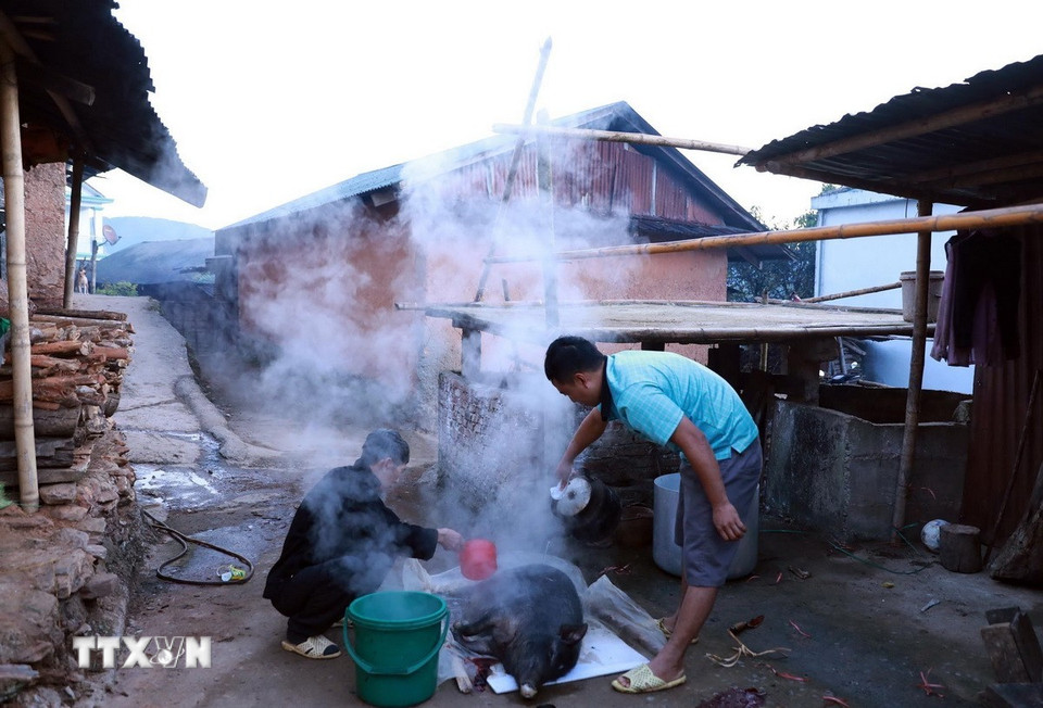 សាច់ជ្រូកគឺជារបស់ដែលមិនអាចខ្វះបានសម្រាប់ពិធីបុណ្យ Tet ប្រពៃណីរបស់ជនជាតិ Ha Nhi ដូច្នេះគ្រប់គ្រួសារត្រូវតែសំលាប់សាច់ជ្រូកនៅពេលដែល Tet មកដល់។ (រូបថត៖ Quy Trung/VNA)