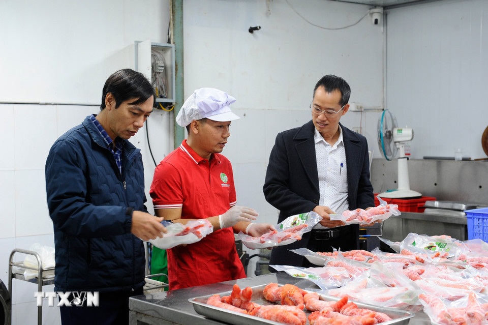 Người dân Đông Tảo đầu tư máy móc hiện đại, đóng gói sản phẩm để đưa đi tiêu thụ cả thị trường trong và ngoài nước. (Ảnh: Mạnh Khánh/TTXVN)