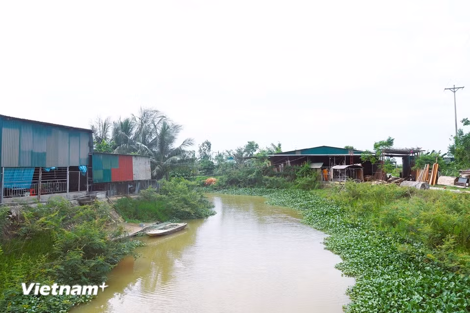 Kênh Nhà Lê nhập dòng với kênh Đạu, vặn mình chảy qua nhiều khu dân cư ven sông sầm uất, trù phú trên địa bàn huyện Diễn Châu (cũ), tỉnh Nghệ An. (Ảnh: Xuân Tiến/TTXVN)