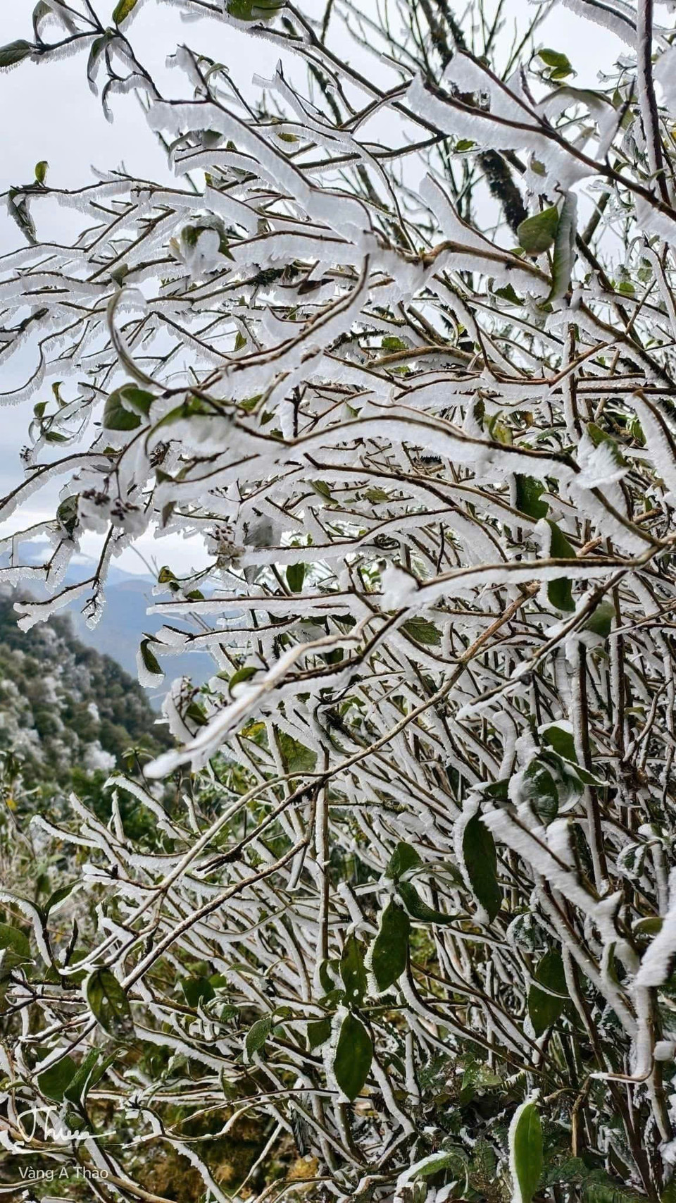 Đến 13 giờ ngày 27/1, băng giá vẫn còn. (Ảnh: TTXVN phát)