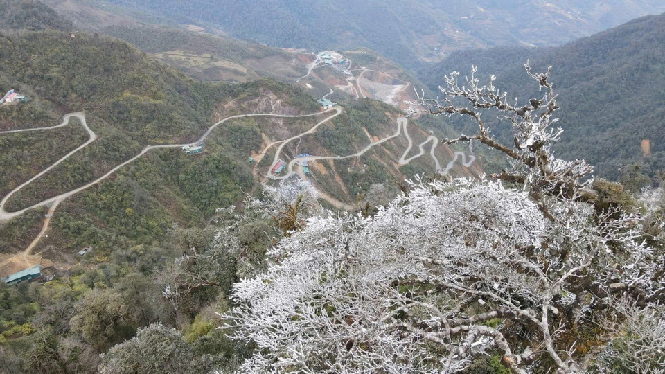 Băng giá xuất hiện tại các đỉnh Trống Páo Sang, Khau Phạ và Kháu Nha thuộc xã La Pán Tẩn; đỉnh Lùng Cúng thuộc xã Nậm Có (huyện Mù Cang Chải, Yên Bái). (Ảnh: TTXVN phát)
