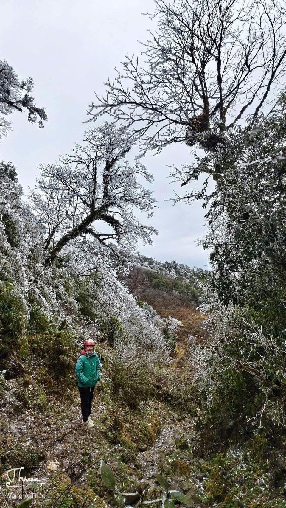 Người dân chụp ảnh băng giá làm kỷ niệm. (Ảnh: TTXVN phát)