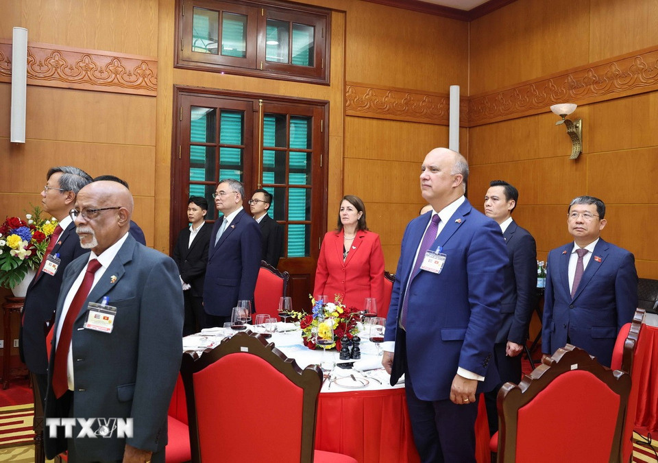 Các đại biểu thực hiện nghi lễ chào cờ. (Ảnh: Thống Nhất/TTXVN)