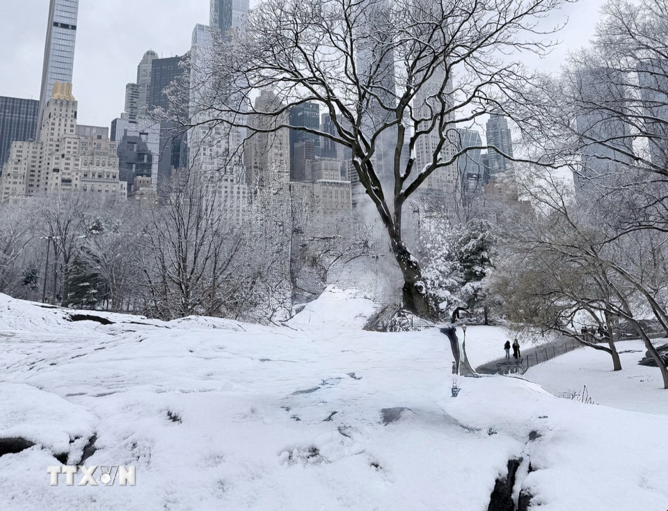 Ngày 25/1/2026, nhà chức trách Mỹ cho biết trận bão mùa Đông quét qua hơn 40 tiểu bang của nước này đang gây ra nhiều hậu quả nghiêm trọng và ảnh hưởng trực tiếp tới hơn 230 triệu người dân Mỹ. (Ảnh: Thanh Tuấn/TTXVN)