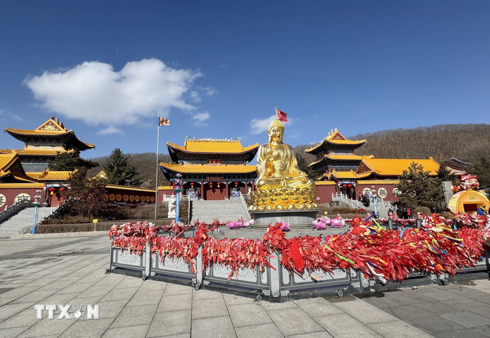 Thông qua chùa Chính Giác, Kim Đỉnh Đại Phật, Bảo tàng Văn hóa và Nghệ thuật Phật giáo và Vườn Phật Ngọc, du khách có thể hiểu sâu sắc hơn về nghệ thuật và lịch sử Phật giáo. (Ảnh: Công Tuyên/TTXVN)