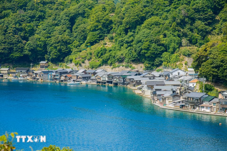 Hiện nay, Ine còn khoảng 230 căn Funaya nối tiếp nhau dọc gần 5km bờ vịnh, tạo nên khung cảnh "độc nhất" tại Nhật Bản. (Ảnh: Xuân Giao/TTXVN)