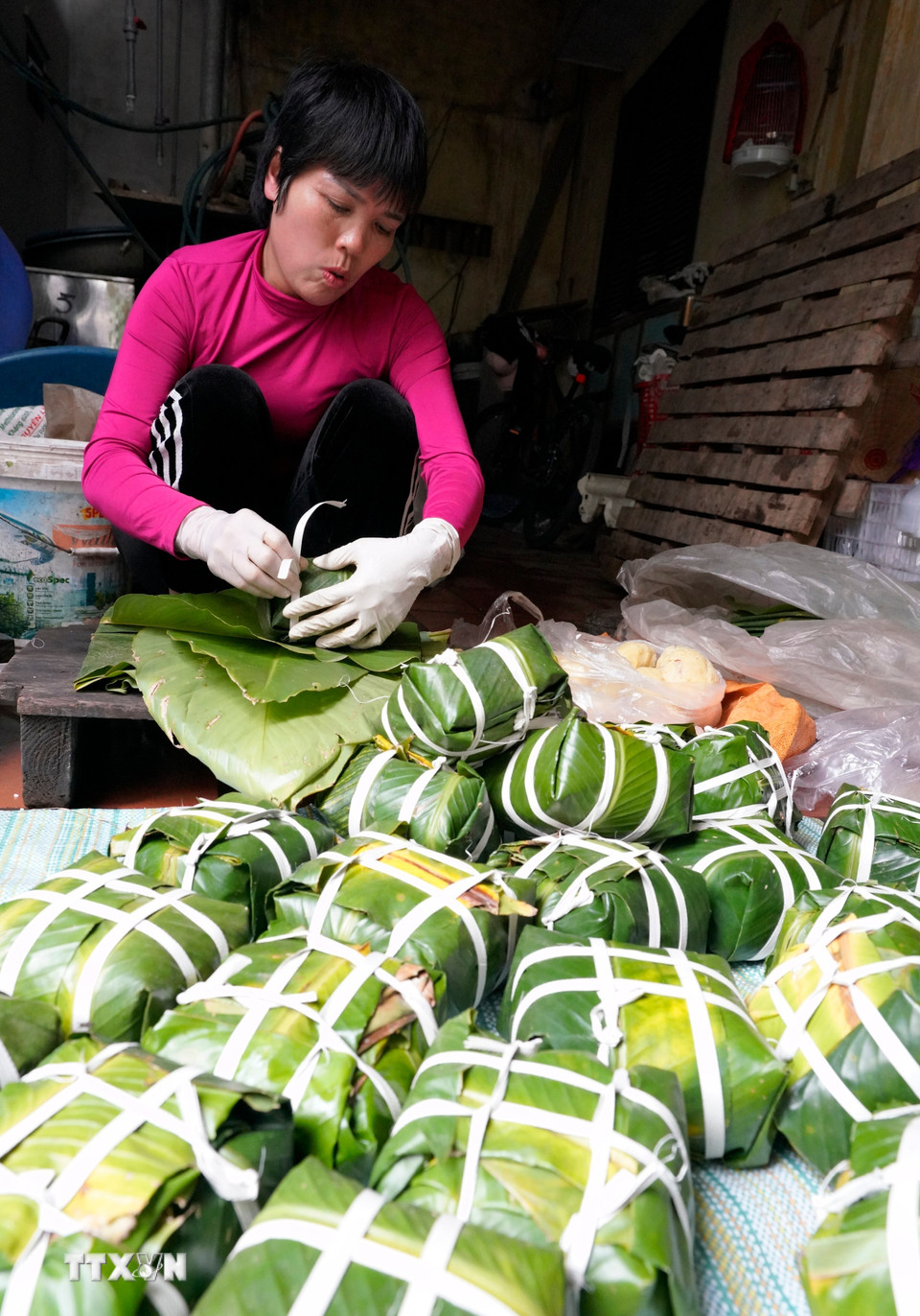 Đôi tay người thợ thoăn thoắt gói bánh, từng nếp gấp vuông vắn cho thấy sự thuần thục được tích lũy qua nhiều năm gắn bó với nghề. (Ảnh: Khánh Hòa/TTXVN)