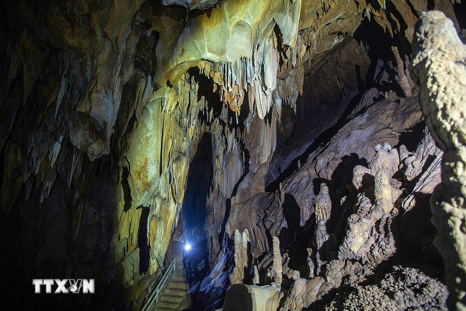 Động Nam Sơn hay còn gọi là động Tớn là một trong những hang động tự nhiên đặc sắc nhất của Khu bảo tồn thiên nhiên Ngọc Sơn - Ngổ Luông, tỉnh Phú Thọ. Nơi đây thu hút giới khoa học và du khách bởi sự nguyên sơ, kỳ bí và giá trị địa chất hình thành. (Ảnh: Trọng Đạt/TTXVN)