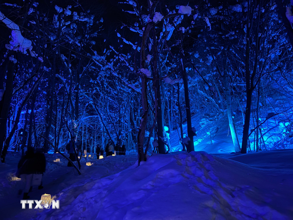 Khu rừng phía sau đền Jozankei cũng được chiếu sáng huyền ảo. (Ảnh: Xuân Giao/TTXVN)