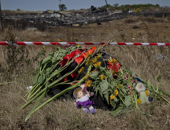 Hà Lan đe dọa biện pháp trả đũa Nga sau vụ rơi máy bay MH17 ảnh 1