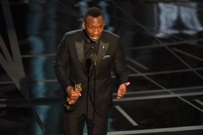 Cập nhật danh sách các hạng mục giải Oscar lần thứ 89 ảnh 1