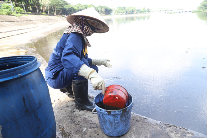 Hà Nội: Tiến hành xử lý dầu thải bị đổ trộm trên mặt hồ Linh Đàm ảnh 5