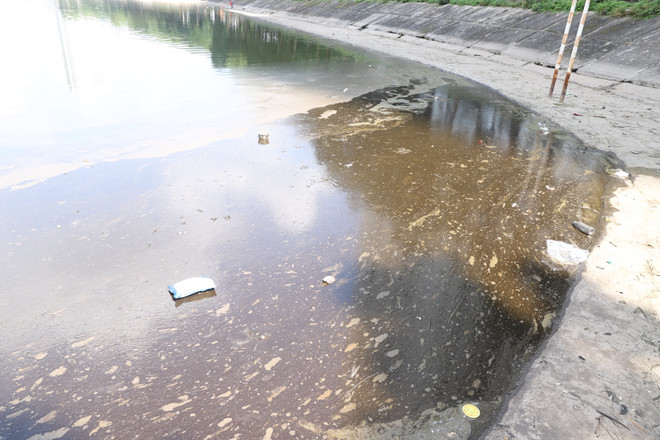 Hà Nội: Tiến hành xử lý dầu thải bị đổ trộm trên mặt hồ Linh Đàm ảnh 1